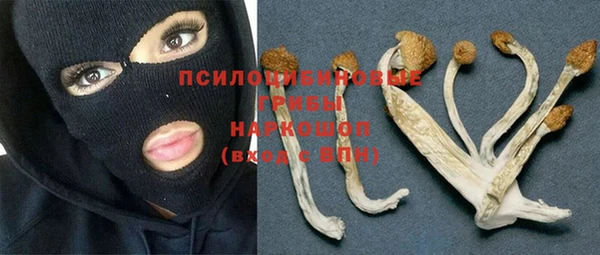 эйфоретик Алзамай